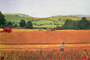 Harvesting in the Cotswolds